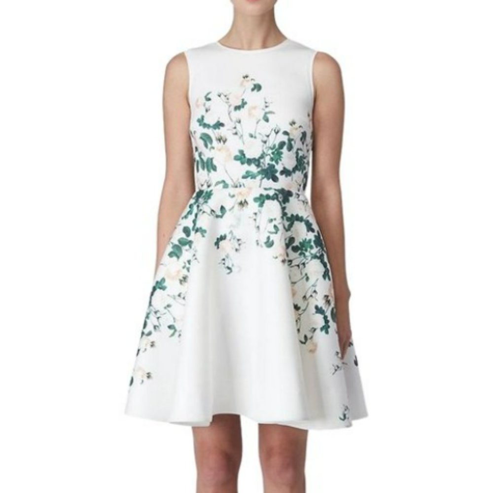 Erin Fetherston English Rose Floral Fit & Flare Dress Ivory Green Sz 8 wedding